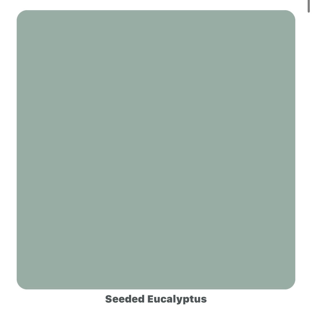 Colour - Seeded Eucalyptus (OHE)